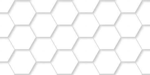 Vector White Hexagonal Background. Luxury White Pattern. Vector Illustration. 3D Futuristic abstract honeycomb mosaic white background. geometric mesh cell texture. modern futuristic wallpaper.