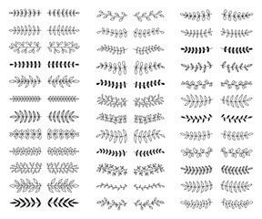 Set of doodles with laurel and floral text dividers. Branches, ornamental divider, borders, lines. Hand drawn vector illustration on white background