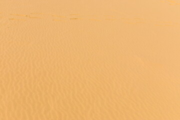 Sarykum is the largest sand dune in Europe in a protected area, as part of the Dagestan Nature Reserve, Russia