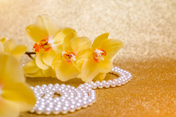 yellow Orchid and pearl necklace on a shiny gold background
