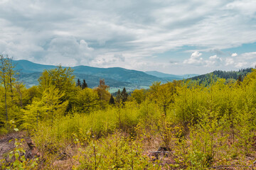 autumn in the mountains