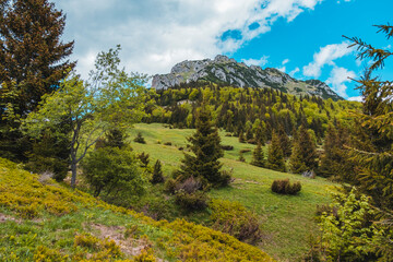 Obraz premium landscape in the mountains