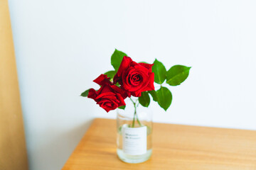 クラシックな赤いバラ_2