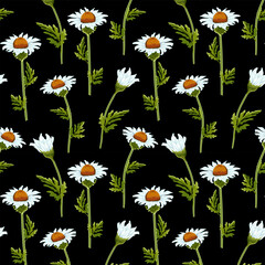 Black background with daisies.Vector seamless pattern with daisies on a black background.