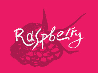 Raspberry symbol, raspberries illustration. Vector monochrome raspberries and blackberries drawings. Pink berry icon for logo design. Blackberry sketch. Handdrawn mulberry sign.
