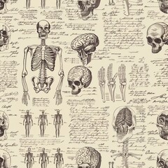 Vintage Human Anatomy Background