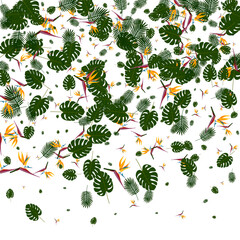 Light Green Plant Background White Vector. Tree Vintage Illustration. Green Flower. Resort Pattern. Pink Vivid Frame.