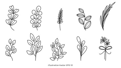 Hand Drawn Botanical Elements Vector Set, minimal drawn floral leaves botanical line art on colorful circle background, Hand drawn leaves line Floral branch, Vector illustration EPS 10
