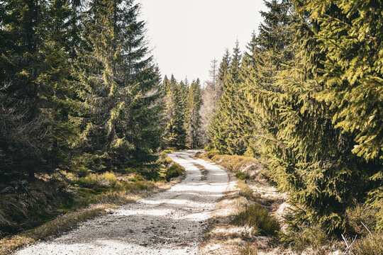 Polana w Jakuszycach - droga do chatki gorzystow 