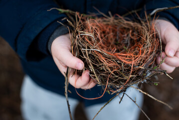Child holding a bird's nest made of twigs and orange fibers