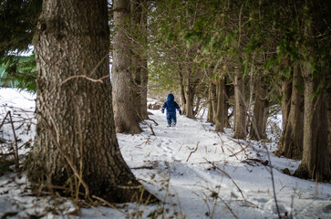 Child in blue snowsuit walking through snow-covered forest path