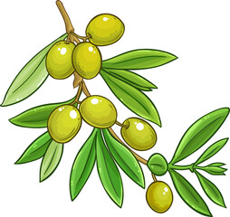 Olive Branch with Berries and Leaves Colored Detailed Illustration. Organic natural nutritional healthy food ingredient, vegetarian diet product