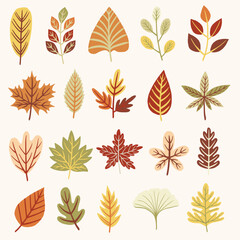 Autumn leaves and fall foliage illustration set. Hand drawn vector illustrations.