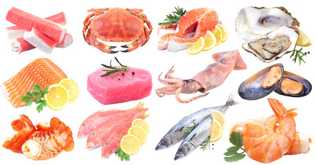 Fresh seafood on white background isolated