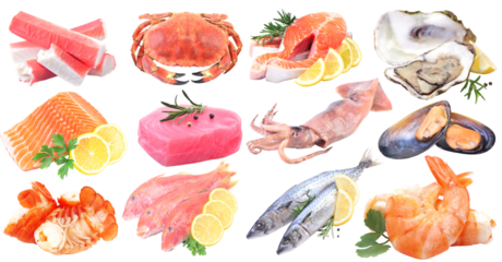 Fresh seafood on white background isolated