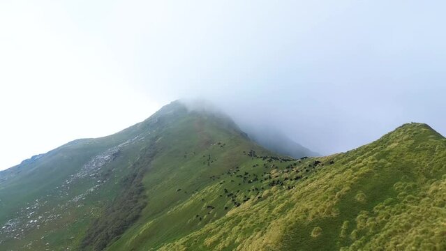 Rudranath trek is a place of immense religious significance and is situated in the Chamoli district of Garhwal