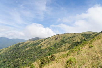 Fototapeta premium Brahmagiri Hills in Wayanad, Kerala, India.