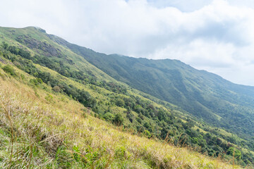 Obraz premium Brahmagiri Hills in Wayanad, Kerala, India.