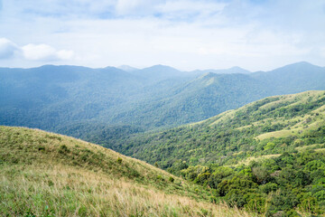 Fototapeta premium Brahmagiri Hills in Wayanad, Kerala, India.