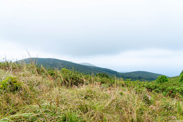 Brahmagiri Hills in Wayanad, Kerala, India.