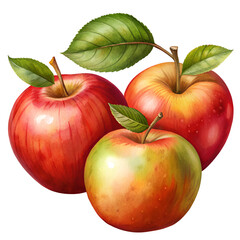red apple with leaf isolated on white background,  vector.