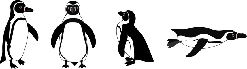 フンボルトペンギンセット