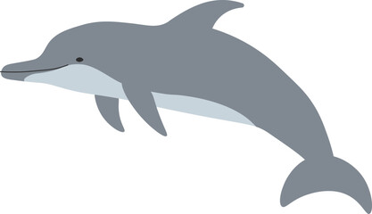 Obraz premium バンドウイルカ