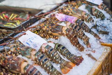 Spiny Lobster, shrimp fresh seafood market Thailand.