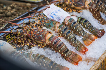 Spiny Lobster, shrimp fresh seafood market Thailand.