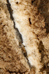 texture of the sand