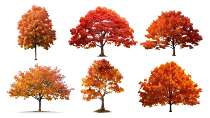 Autumn trees png cut out element set