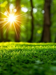 Fototapeta premium sun rays through green grass in forest - nature background.