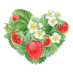 Red strawberry with white flowers heart bush hand drawn watercolor illustration. Food art, fresh botanical realistic painting. Summer berry clipart for restaurant, cafe menu, farm goods, vegan product