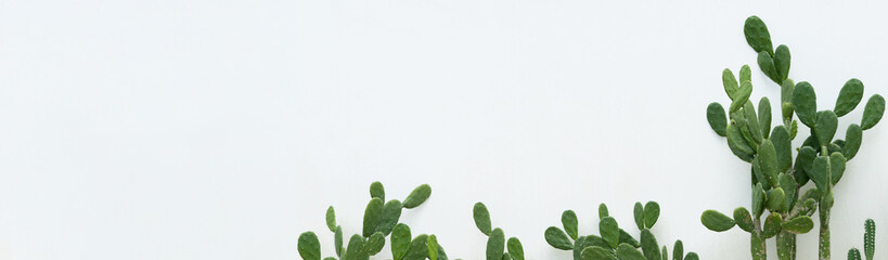 Nature of green leaf in garden at summer. Natural green leaves plants using as spring background cover page greenery environment ecology lime green wallpaper