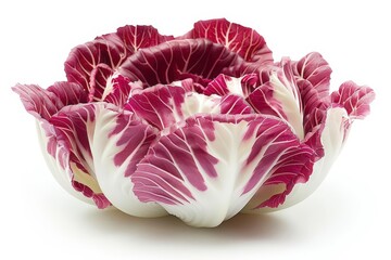 Fototapeta premium A realistic indoor radicchio plant, detailed leaves, isolated on white background