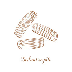 Sedani regati pasta illustration. Vector sketch. Traditional Italian food. Hand-drawn image. Isolated icon