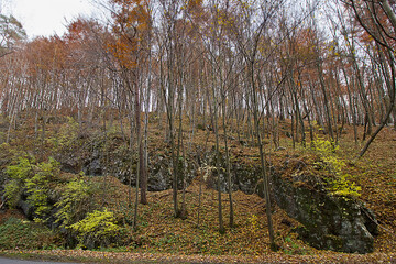 Autumn landscape a rock in an autumnal forest