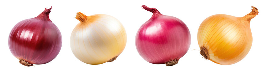 Red onion vegetable shallot plant set