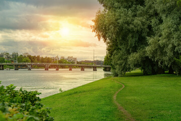 View of the river with a growing willow and the urban landscape