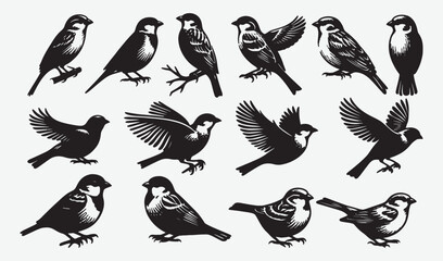 Fototapeta premium Birds Silhouette Vector Collection Hand drawn Sparrow