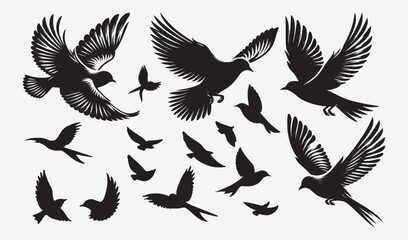 Obraz premium Birds Silhouette Vector Collection Hand drawn