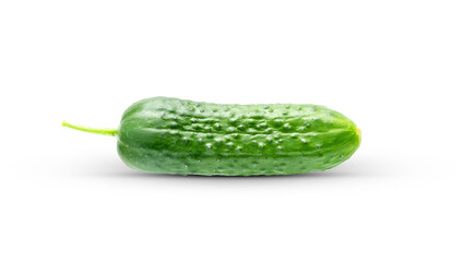 Fresh green cucumber with leaf and flower natural vegetables organic food isolated on white background. High quality photo