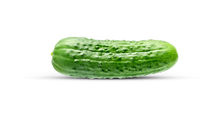 Fresh green cucumber with leaf and flower natural vegetables organic food isolated on white background. High quality photo