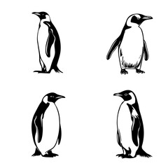 Obraz premium penguins on a white background