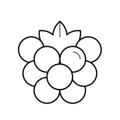 Raspberry linear vector icon isolated on white background, Outline black berry sign, simple black and white icon