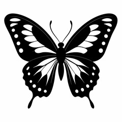Silhouette Butterfly Vector Illustration Isolated on White Background