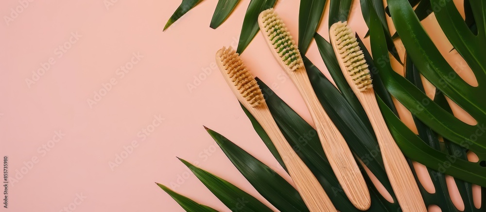 Aufkleber bamboo toothbrushes on pastel background with tropical leaf. Place for text. Ecoproduct. with copy space image. Place for adding text or design