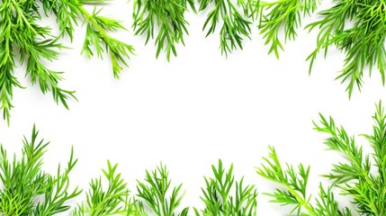Green Sprigs Frame White Background