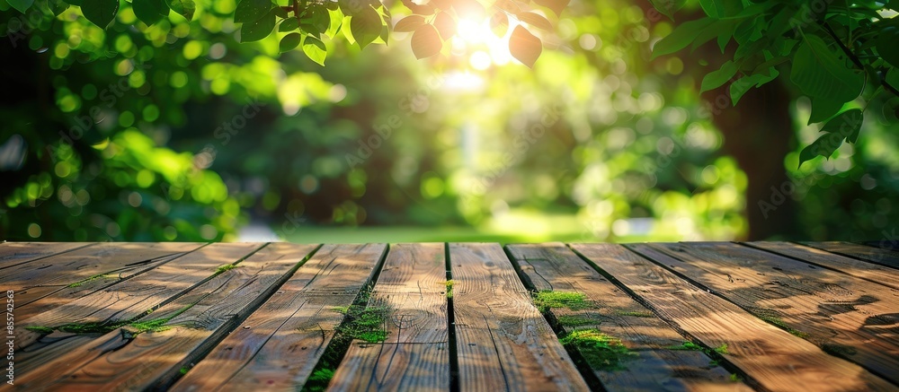Leinwandbilder Empty wood table top on blur abstract green from garden and home area background.For montage product display or design key visual layout. Copy space image. Place for adding text or design