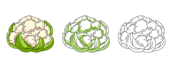 Cauliflower, colorful and line icons set. Farm vegetable vector outline icon, monochrome and color illustration. Healthy nutrition, organic food, vegetarian product. For logo, coloring book